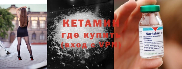 сатива Бородино
