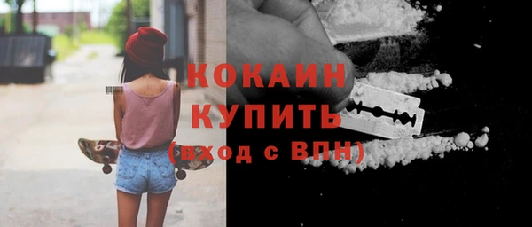 сатива Бородино