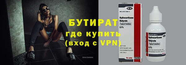 сатива Бородино