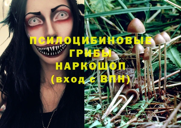 дмт Волосово