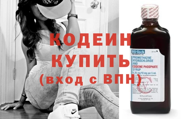 сатива Бородино