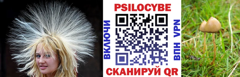 мега зеркало  дарнет шоп  Десногорск  Псилоцибиновые грибы Psilocybe 